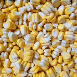 ELOTE DESGRANADO